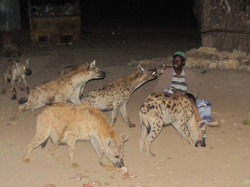 travel to ethiopia